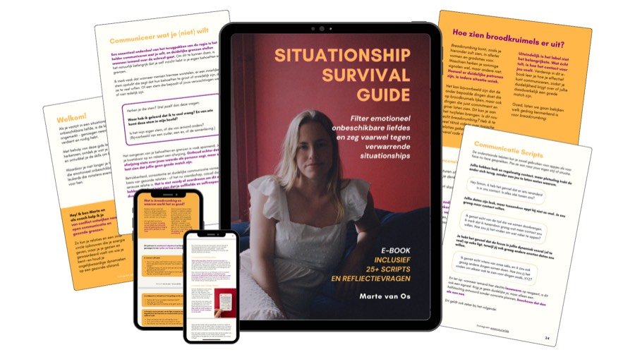 Afbeelding van Situationship Survival Guide